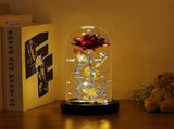 Silk Rose Gold Foil Leaf LED String Lights on Glass Dome with Wooden Base V1263-JX-5093