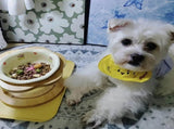 Ceramic Pet Feeder with Wood Stand Tilted Cat Bowl for Comfortable Eating, Anti-Tip DesignZhu V1385-FTCWW-ZM-004