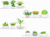 Window Plant Shelves 14.6", 2 Pack Acrylic Suction Cup Holder No-Drill Window Sill Extender for V1107-116-54589-CLR-4PACK