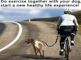 Versatile 2-in-1 Bicycle Dog Walker Leash with Shock-Absorbing Bungee, Adjustable Seatpost Mount, V1341-ZY-ZXUCP8UU-SILVER
