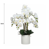 Large Multi-Stem White Potted Faux Orchid 65cm V637-DP1018513