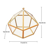 Nodic Pentagon Shape Geometric Transparent Glass Flower Room Glass Ring Box Wedding Ring Jewelry Box V1294-YM0717-10098972