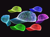 LED Cap Fiber Optic Hat Baseball Caps Light Up 7 Colors Glowing USB Charging Hats Rave Accessories V1366-AZ2-W-08125