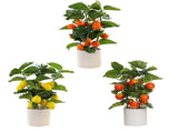 Small Fake Fruit Tree Decor Artificial Potted Tree with White Pot Potted Plant Perfect for Kitchen V1294-YM0523-220324CY13-1