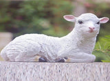 Sculptures & Statues Sheep Statues Lifelike Resin Lamb Statue Outdoor Statues For Garden Decor Lamb V1366-AZ2-W-21443