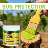 3Pack Tree Wound Sealer & Dressing, 150g Tree Pruning Sealer for Cut, Damaged Bark, Grafting V1107-119-84772-GRN-3PACK