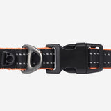 Pawfit 3 Collar Large V188-PWFC3-3