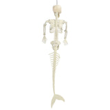 Halloween Skeleton Decoration Realistic Scary Skeleton Figurine Ornament for Haunted House Party V1294-YM0706-3115230082811