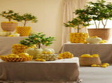 31 cm Yellow Lemon-Shaped Decorative Flower Vase, Botanical Home Decor V1188-MS-731-134