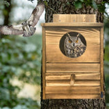 Owl Nesting Box Bird Feeder Paulownia Wood Acrylic V178-66929