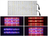 300W 150LED Grow Light Full Spectrum Plant Growth Lamp with Timing Dimming Greenhouse SupplyUK Plug V1294-YM0901-3119200134113