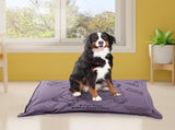 Aussie Made Extra Large Comfy Pet Futon Dog 122cm Wool Blend - Dusk D0187
