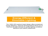 150W Dimmable Full Spectrum Indoor Plant Growth Light Quantum Board Grow Light Veg and Bloom Dual V1294-YM0901-L6825EU