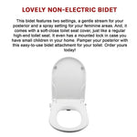 Non Electric Bidet Toilet Seat W/ Cover Bathroom Spray Water Wash V63-836451