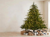 National Tree Company 9ft 2.7m Bellewood Fir Pre-Lit Artificial Christmas Tree 1100 Multi-Funct 112_NATBF9