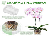 30Pcs Clear Nurserys with Multiple Drainage Holes & Dedicated Tray Transparent Seedling Flower V1366-AZ2-W-15051