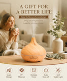 2 Pack Onion Diffuser Combo B Remote, 24V AU Plug, Decor Gift Duo V1221-XM-LB1542-ZS043