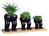 3PCS Artificial Succulent Plants in Ceramic Pots Modern Cute Human Shaped Decorative Fake Succulents V1294-YM0901-3115240022311