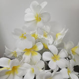 1 Set of 20 LED White Frangipani Flower Battery String Lights Christmas Gift Home Wedding Beach V382-WHFRANGIBATT20