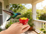 Finger-held Hummingbird Ring Feeder Portable Hand-held Wild Bird Supply For Garden Bird Watching V1369-AZ3-W-14865