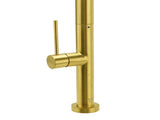 Brushed Gold Round Pull Out 2 Modes Spray Spout Kitchen Sink Tap Laundry Mixer V1233-KRD512BG
