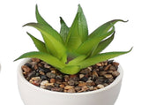 4Pcs Artificial Succulent Plant Cute Ceramic Faux Succulent Flower Pot Decoration Set for Office V1294-YM0901-3115240013111