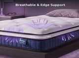 Levitex King Single Mattress 23CM With Pocket Spring & Cooling Gel Foam, Medium-Firm Full-Body MATTRESS-F-SYNC-23-KS