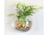 1 Set Fish Tank Decorative Wall Mounted Hanging Flower Vase-Transparent V1263-JX-446