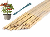 20Pcs Plant Stakes with 1 Pack Ties,17.8in Longer Sturdy Natural Bamboo Garden Stakes,Bamboo Sticks V1192-AZ-W-17350