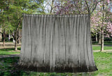 Large Thick Velvet Curtains Warp Knitted Velvet 540x270cmHooks Pinch Pleat Grey V702-CNY8-2-NB-GRAYA1234
