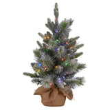 Christabelle 61cm Pre-Lit Snowy Stamford Spruce Battery-Operated Mini Christmas Tree Multi-Func 112_NATSS2