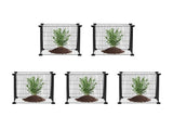 5 Pack Plant Protector from Animals, 390 mm x 390 mm Chicken Wire Plant Protector, Plant Cages for V952-QBWZCL14YCHSHLKV6V0