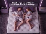Levitex Double Mattress 2 Rows Edge Support for Deep Sleep 5-Zone Ergonomic Pocket Spring Breathable MATTRESS-F-NEX-30-D