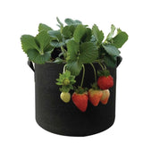 6 Pck 10 Gallon Fabric Flower Pots 38L Garden Planter Bags Black Felt Root Pouch V238-SUPDZ-39610063814736