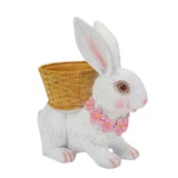 Rabbit Flowerpot Resin Process Rabbit Ornament with Back Basket Outdoor Decoration for Courtyard V1294-YM0717-3111220227011