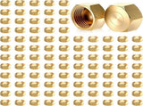 100 Pack Brass Compression Cap, Stop Value Caps, Drain Pipe Fittings for Hose Connector Nozzle V1259-DP01-A-1019