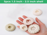 Tutuviw 5 Pcs Mini Sea Urchin Shell Air Plant Holders,Decorative Hanging Air Plant Pot, Tillandsia V1189-WXFWAL-20260319-00169