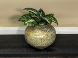 Hammered Squat Bowl Lip-Antique Gold 28x21cm V637-97001BWL