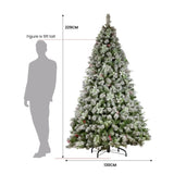 Snowy Crown Pine 2.3m Multicolour Pre-Lit Christmas Tree with 1453 Tips 112_SENCR100