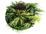 Slimline Artificial Green Wall Disc Art 50cm Grassy Fern Fields UV Resistant V637-DP9852