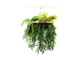 Gold Framed Roof Hanging Disc With Bright Tropical Foliage Mix and Draping Ferns 40cm UV Resistant V637-DP80107