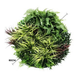 Slimline Artificial Green Wall Disc Art 80cm Grassy Fern UV Resistant V637-DP9854