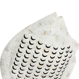 Fish With Scales Wall Art 49cm V637-97042FSH