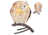 Owl Sculpture Iron Lifelike Decorative Desk Owl Statue Crafts Ornament for Garden Home Office V1294-YM0523-3115220009911