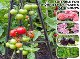 4 Ft Tower Obelisk Trellis for Potted Climbings,Garden Trellis Rustproof Plastic Coated Metal V1192-AZ-W-31166
