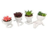 4Pcs Artificial Succulent Plant Cute Ceramic Faux Succulent Flower Pot Decoration Set for Office V1294-YM0901-3115240013111
