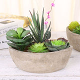 4 pcs Modern Artificialt Arrangement Potted in Gray Concrete Plant Bowl, Assorted Faux Mini V1192-AZ-W-14459