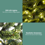 Christabelle 1.8m Prelit Lumina Pine Christmas Tree with 300 LED Lights CMT-OPH-01-6FT