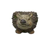 Forest Echidna Planter W Hole & Plug 39x19cm V637-49453ECH