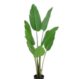 Potted Artificial Strelitzia Bird Of Paradise Tree 153cm V637-84500PEP